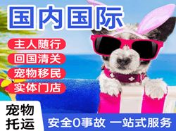 宁波栎社机场快运国际宠物托运 【国